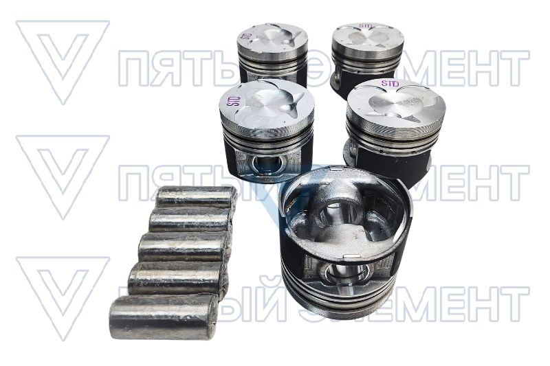 Поршня дизельные стд.602 (MUSSO) 6610303717